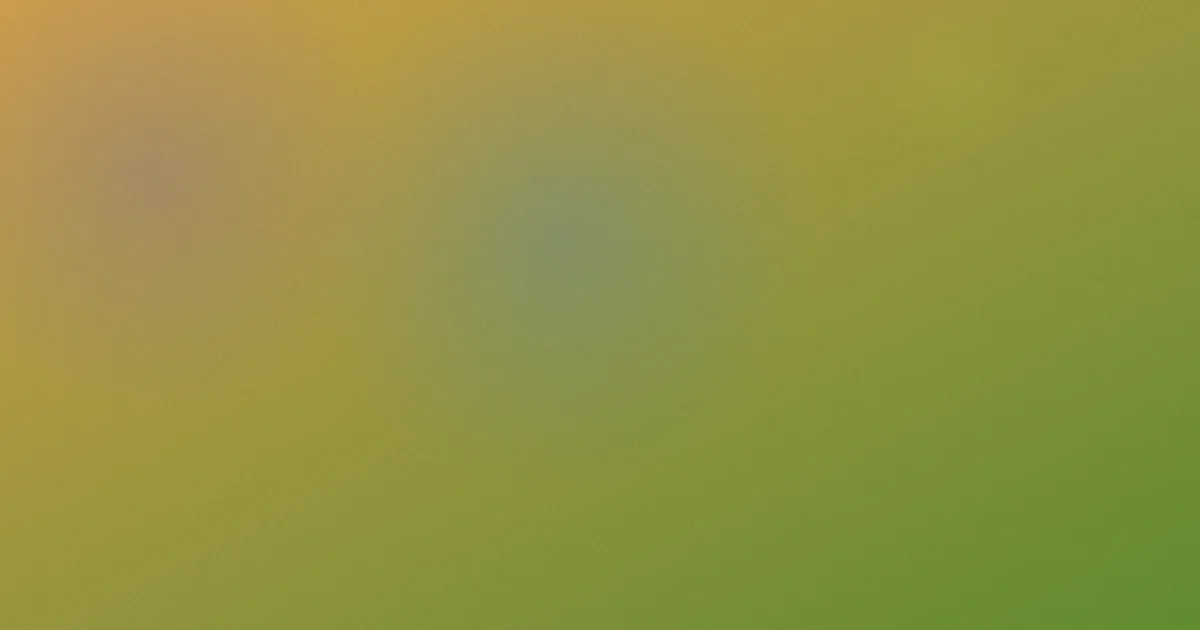 日本淫秽片是什么：别只看字面